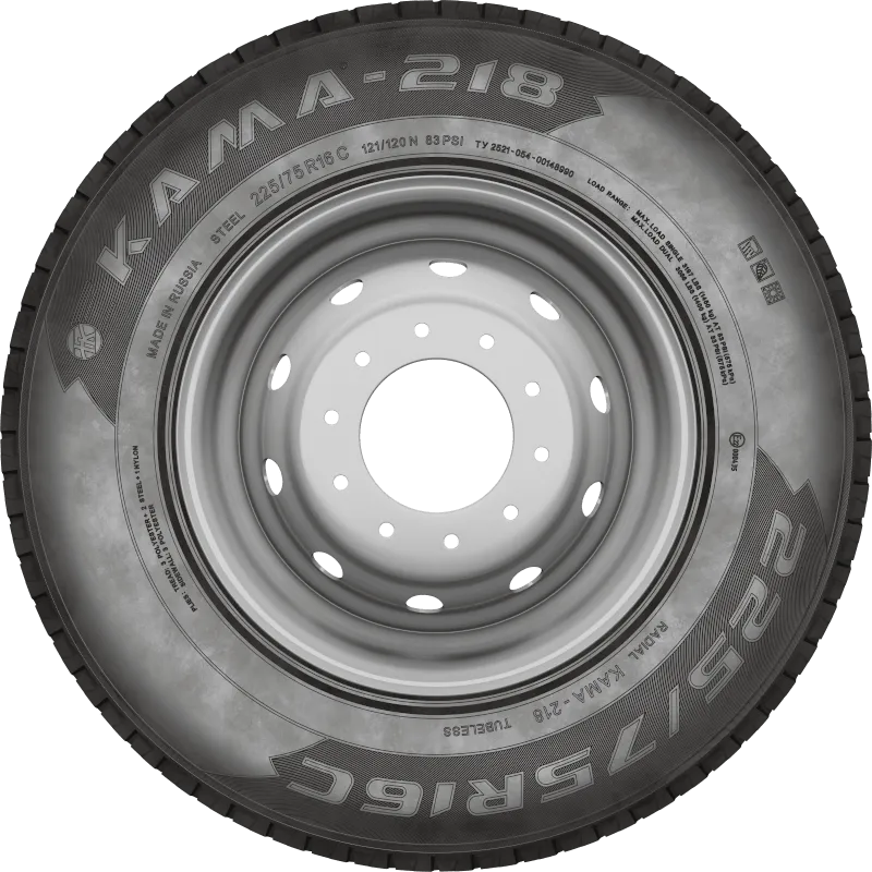 KAMA-218 в Биробиджане — KAMA TYRES KAMA-218 в Биробиджане